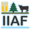 COA-IIAF 1 PLAZA PROFR INVEST. TITULAR “A” T.C. DEFINITIVO